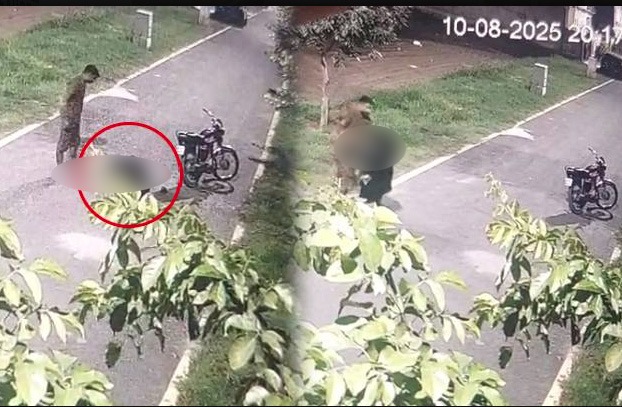Lahore Video Scandal – Aamna ke Sath Sar-e-Aam Tashaddud, Awam ka Sawaal: Kab Milega Insaaf?